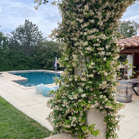 Villa Et Maisonnette Provencales Carpentras Zewnętrze zdjęcie